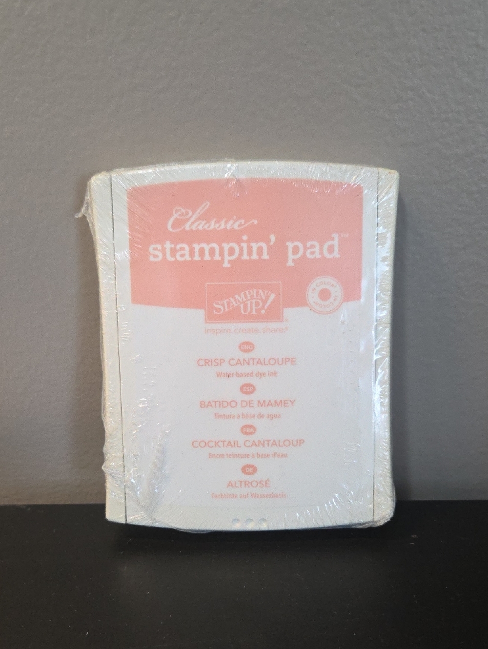NEW Crisp Cantaloupe Stampin Up Classic Stamp Pad